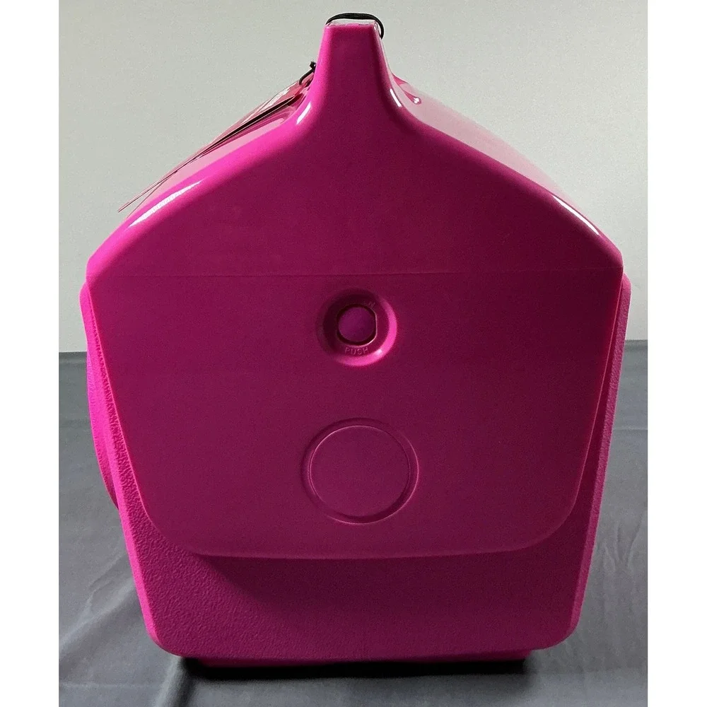 Igloo kooltunes playmate